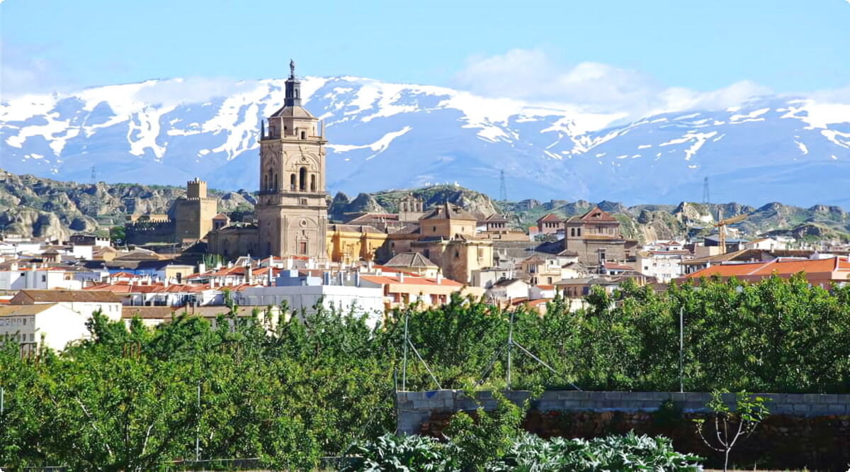 Nuestros servicios de alquiler de coches ofrecen una diversa selección de vehículos en Guadix.